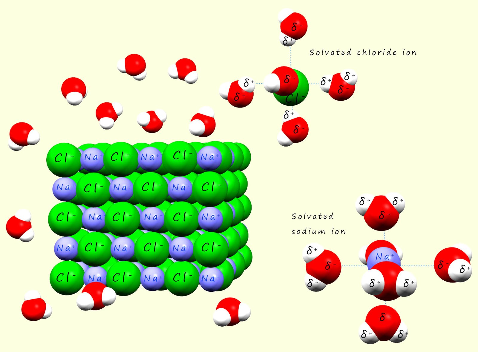 Water molecules solvating a sodium chloride lattice.  The water molecules surround the sodium chloride lattice and pull the ions from the lattice, the ions are said to be solvated.